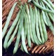 French Bush beans